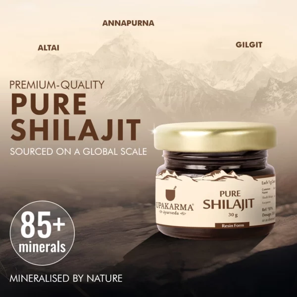 SHILAJIT Resin | 10g - Image 4